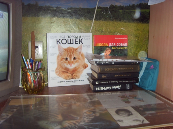 после после(16.01.13)